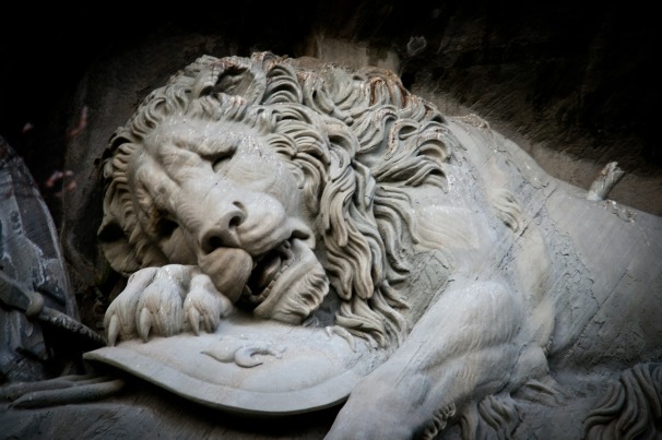 sadness-of-lions-631975_1280